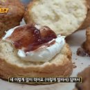 스콘의정석