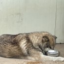 크로스핏 글라 이미지