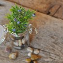 수석전시관 이미지