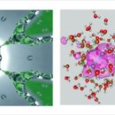 진엔진바이오 이미지