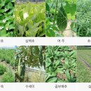 신용농장 이미지