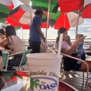 오아시스카폐(OASIS CAFE) 네이버블로그