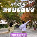 매봉힐링캠프 | 강원도 원주 캠핑장 매봉힐링캠핑장 단풍 2024 원주만두축제