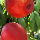 은선농장 이미지