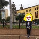 라파엘민박 이미지