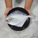 신안푸드 이미지