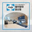 양산신혼침대 꼭 알아두면 좋은 팁 씰리침대와 함께 준비하는 신혼 침실