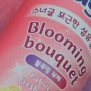 스너글 이미지