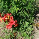 인동농장 이미지