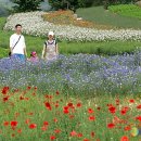 이동희농장 뉴시스