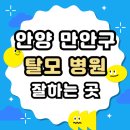 안양 만안구 탈모 전문 병원 두피 탈모관리 잘하는 곳 추천 List
