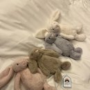 거창하개 이미지