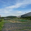 이원재 농장 이미지