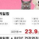 강남다온동물병원 이미지