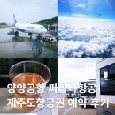 양양이 | 양양공항 파라타항공 제주도 항공권 예약 후기