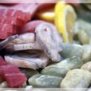 웃는돌 참치 이미지