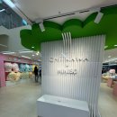 세븐일레븐 홍대클럽점 B | 미니소 홍대점: 치이카와 굿즈 천국(+주차정보)