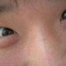 일광해수욕장4 이미지