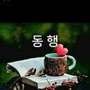 신비의료기 Daum카페