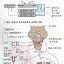 호흡론 이미지