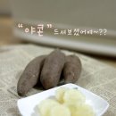 야콘 이미지