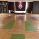 강남구 역삼동 요가 센스요가 가격 오시는길 후기