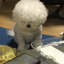 구움카롱 | ~3月18日, 혼자라고 생각말기, 힘들다면 울어 그냥