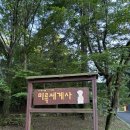 미륵세계사 | 월악산국립공원 미륵세계사 가을 속 신비로운 사찰 여행