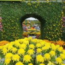 국화축제장 입구 이미지