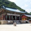 신흥사 이미지
