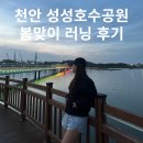 달리는커피성성점 | 천안 성성호수공원 러닝 후기🏃‍♀️ 봄날 가볍게 뛰기 딱 좋은 코스