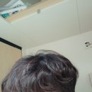 뽂기뽂기