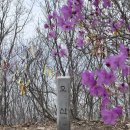 100대명산+ 구례오산 사성암 최단코스 (44/114)