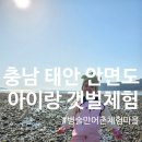 [충남 태안] 병술만어촌체험마을 아이랑 난이도 쉬운 자갈 갯벌체험!