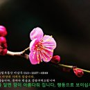 Re:Re:Re:임야매물입니다 (광주광역시. 전라남도).. 지역 기니디 기준입니다 이미지