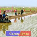 원화농장 이미지