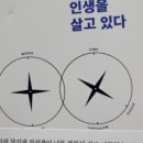 카페 만월경 수지 죽전점