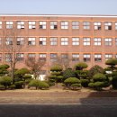 효동초교 이미지