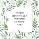 스마일스톤 이미지