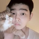 코리아헬스라이프 이미지