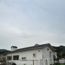 포도밭 댕댕이 펜션 이미지