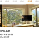 글램독 서린춘천 ㅣ강아지와의 추억을 위한 애견 펜션 숙박 후기