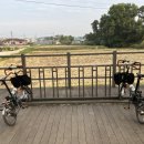 팽성대교 쉼터 이미지