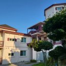 펜션아일라 | 안면도 신상 펜션 아일라리조트 내돈내산 후기