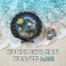 [제주] 제주도공방 노꼬메 | 제주바다 트레이 만들기 체험 후기•제주원데이클래스•제주여행마지막코스...