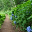 유정1995 이미지