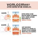뉴비스 이미지