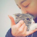 우리고양이 이미지