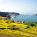 청보리축산 이미지