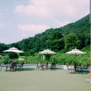 (주)카페치올라 이미지